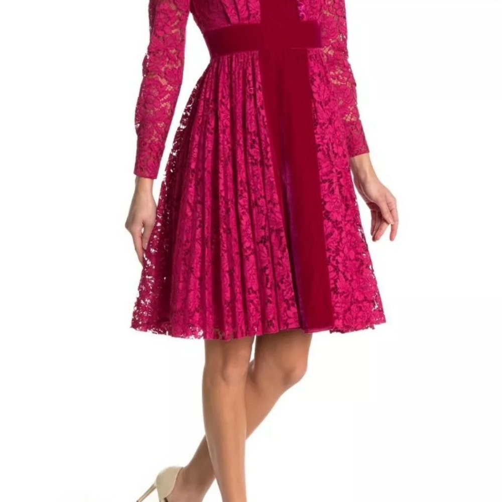 Valentino Lace and Velvet Long Sleeve Fit & Flare Dress in Raspberry colour